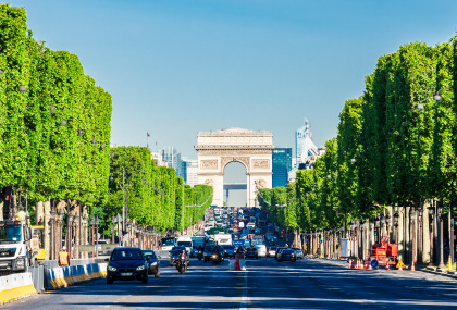 パリ シャンゼリゼ通りのマロニエ（セイヨウトチノキ）の街路樹